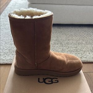 UGG Chestnut Boots